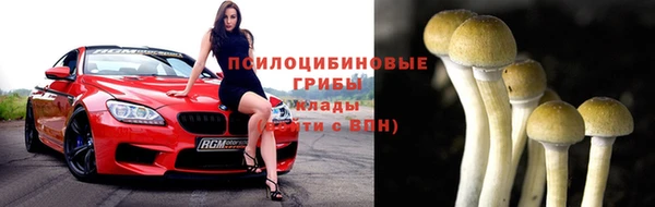 spice Алексеевка