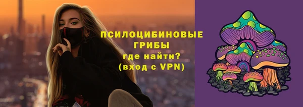 spice Алексеевка
