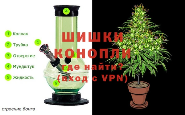 spice Алексеевка